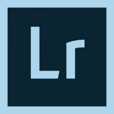 Lightroom for teams 기업용 라이선스 1년 사용권