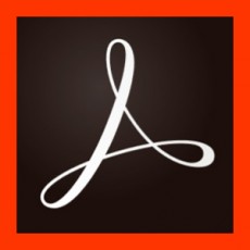 Acrobat Standard DC for team 기업용 1년 사용권 라이선스 