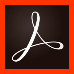 Acrobat Pro DC for teams 기업용 라이선스 1년사용권 