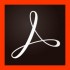 Acrobat Pro DC for teams 기업용 라이선스 1년사용권 